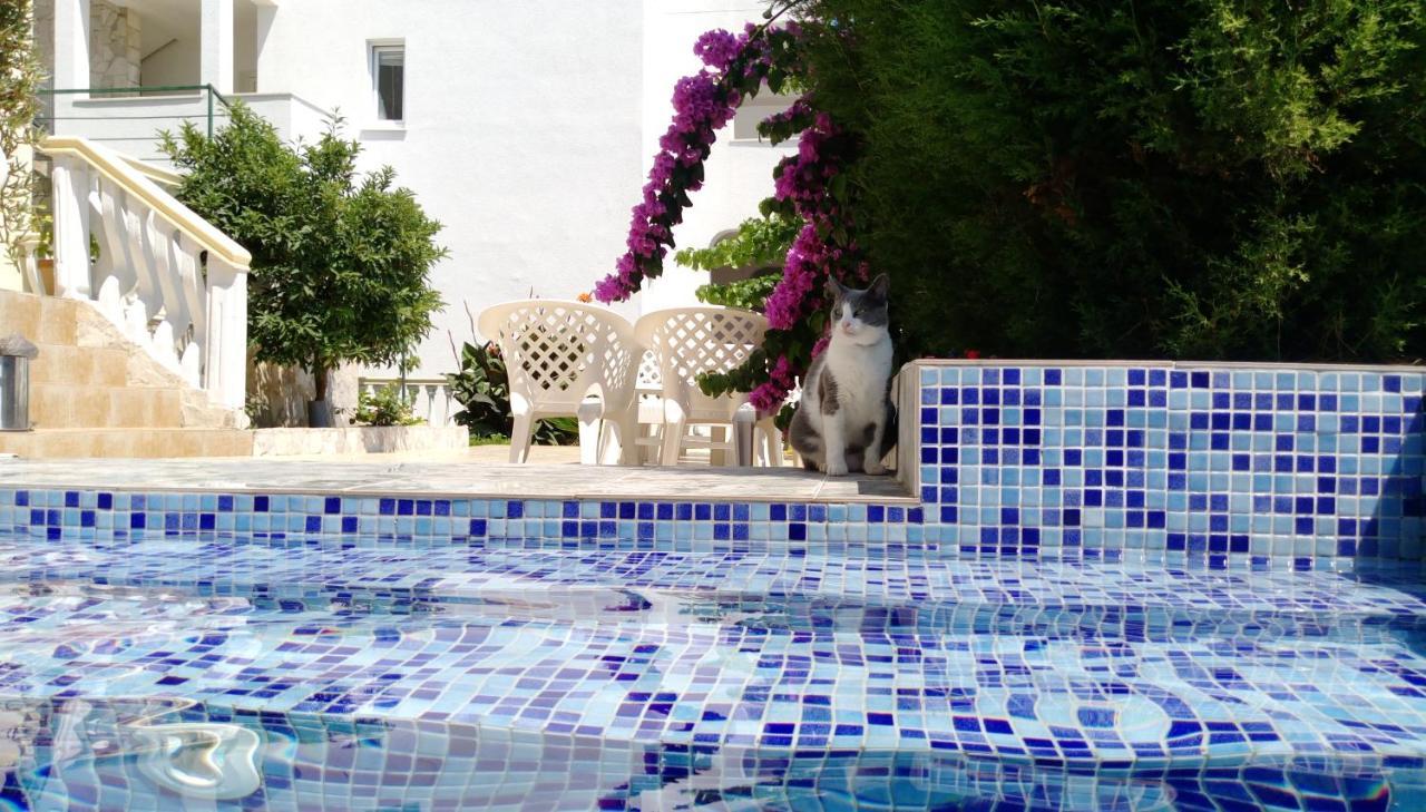 Apartment Barski المظهر الخارجي الصورة